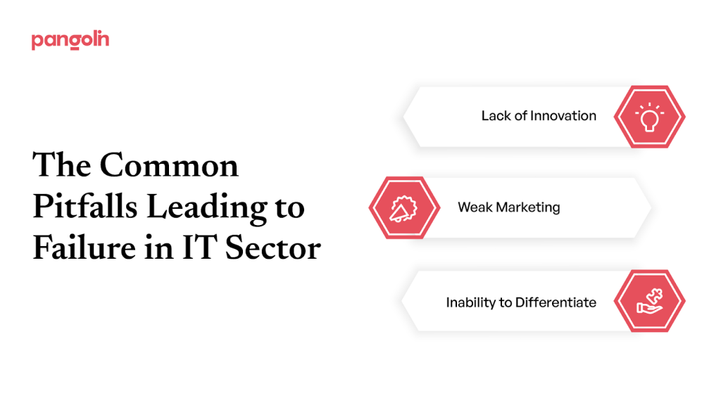 The Common Pitfalls Leading to Failure in IT Sector 